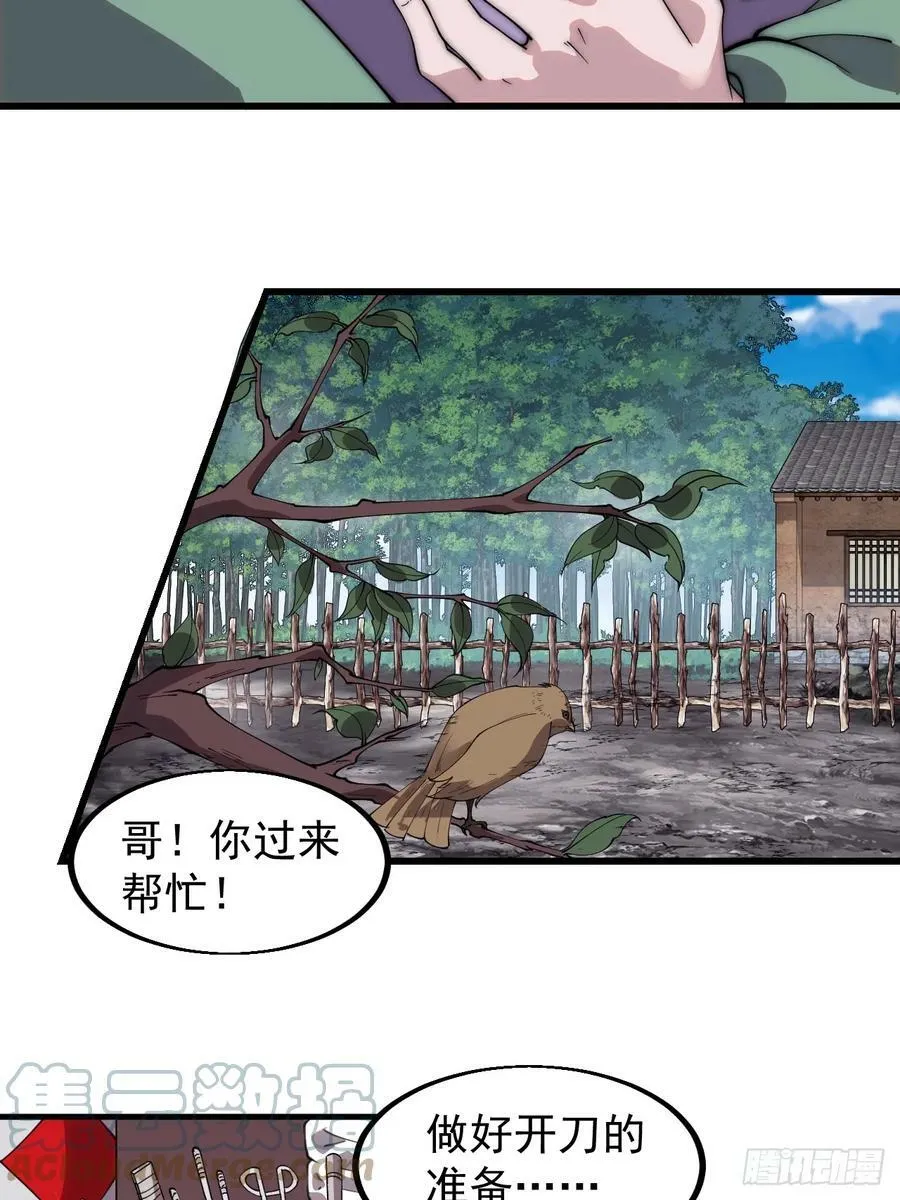 第五百三十七话：开刀2