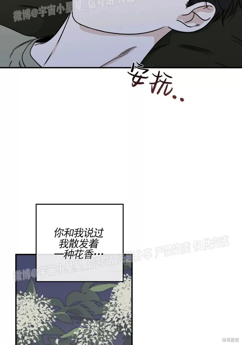 海边之夜/水边之夜/海滨之夜漫画,第67话4图
