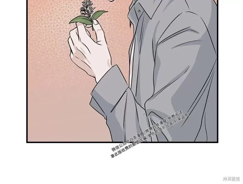 海边之夜/水边之夜/海滨之夜漫画,第35话4图