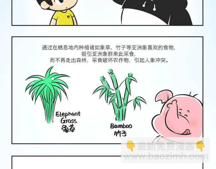 熊猫君解说四人对决漫画,什么是大象食堂？2图
