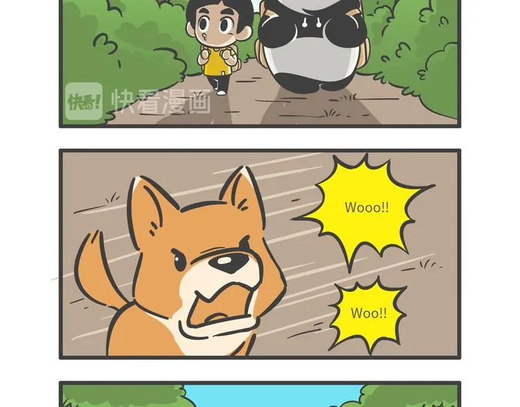 熊猫君和王稳健漫画,“武林高手”天堂鸟4图