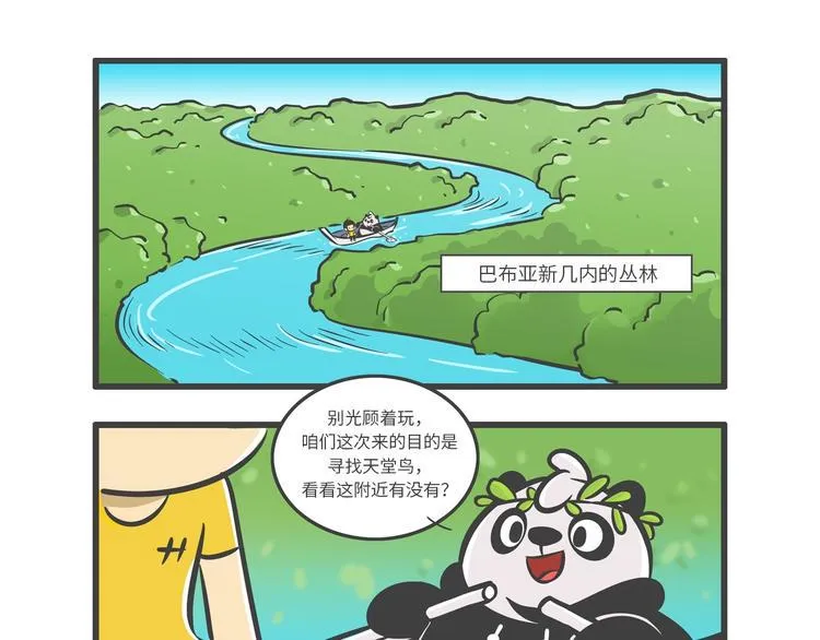 熊猫君和王稳健漫画,“武林高手”天堂鸟2图