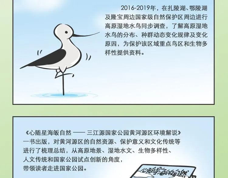 熊猫君录播漫画,科普番外——WWF在三江源3图