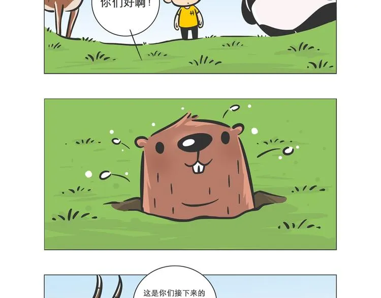 熊猫君和黄逗菌可持续生活志第二季漫画,小壕房多多3图