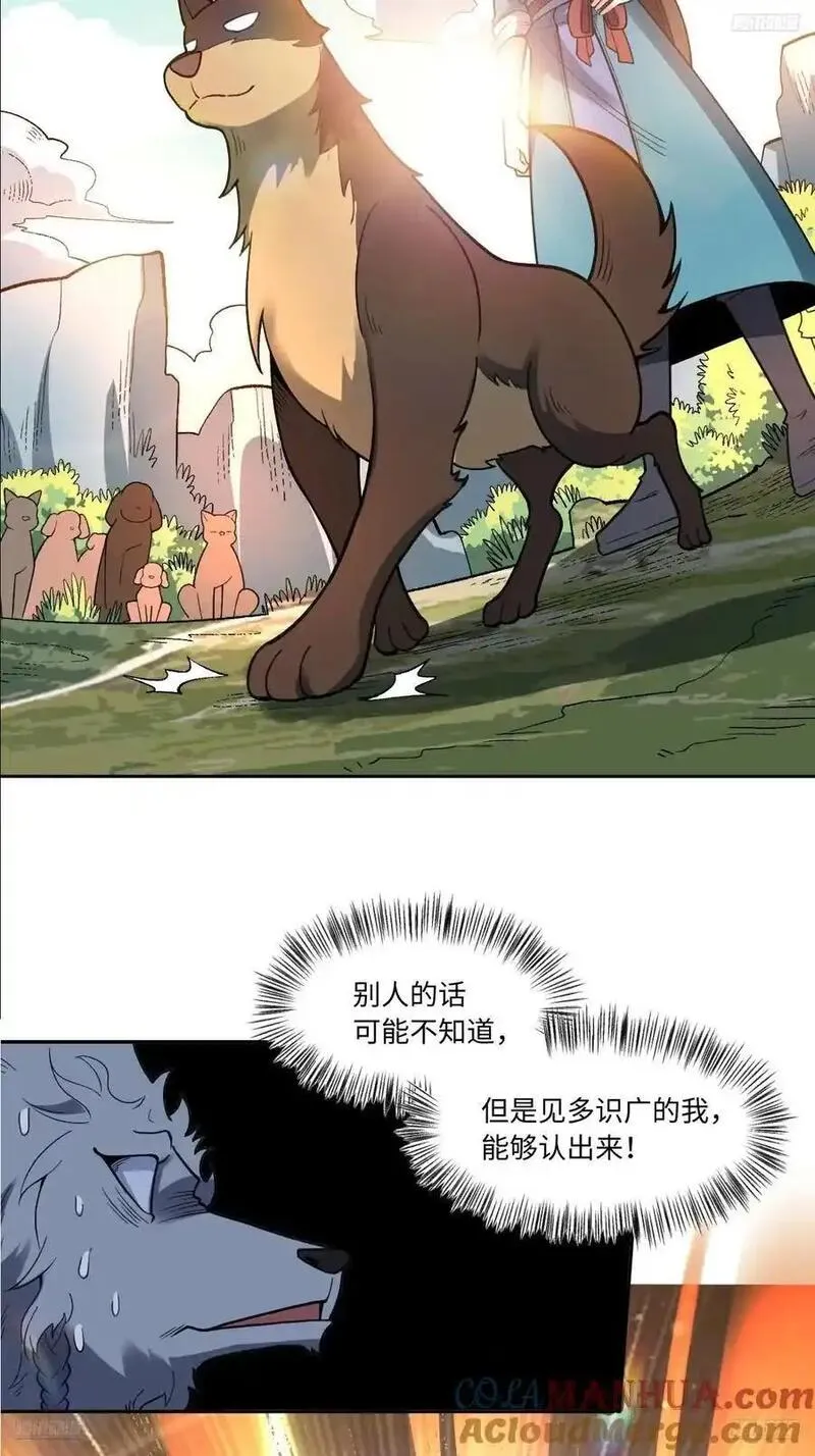 355话4