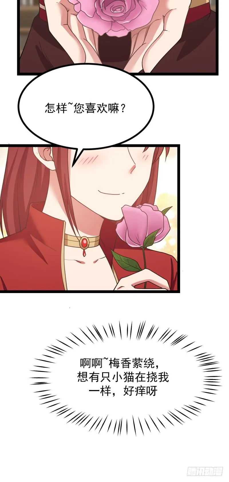 玫瑰与梅花2