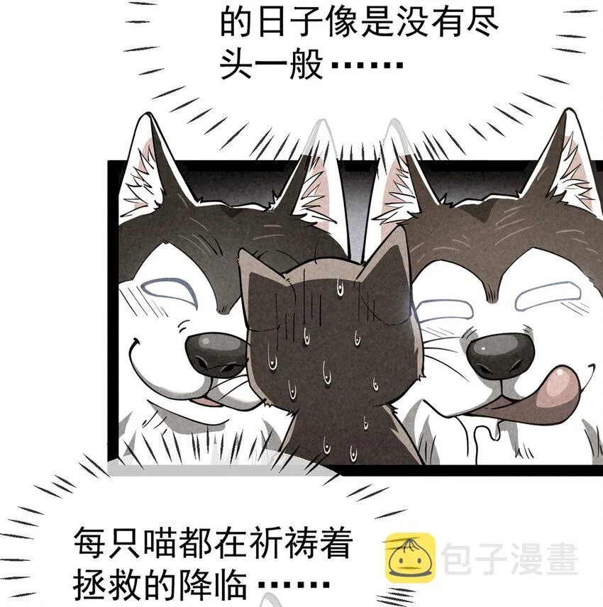 035 你们到底有什么阴谋3