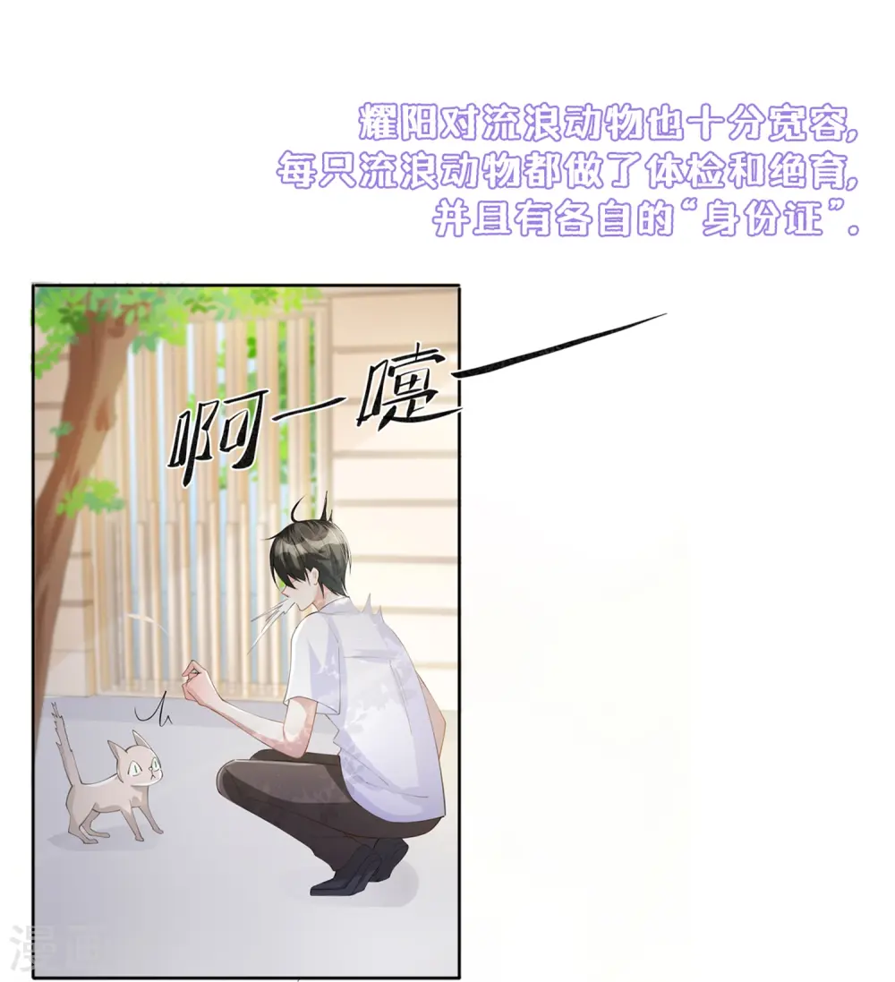 番外 关于耀阳私立高中3
