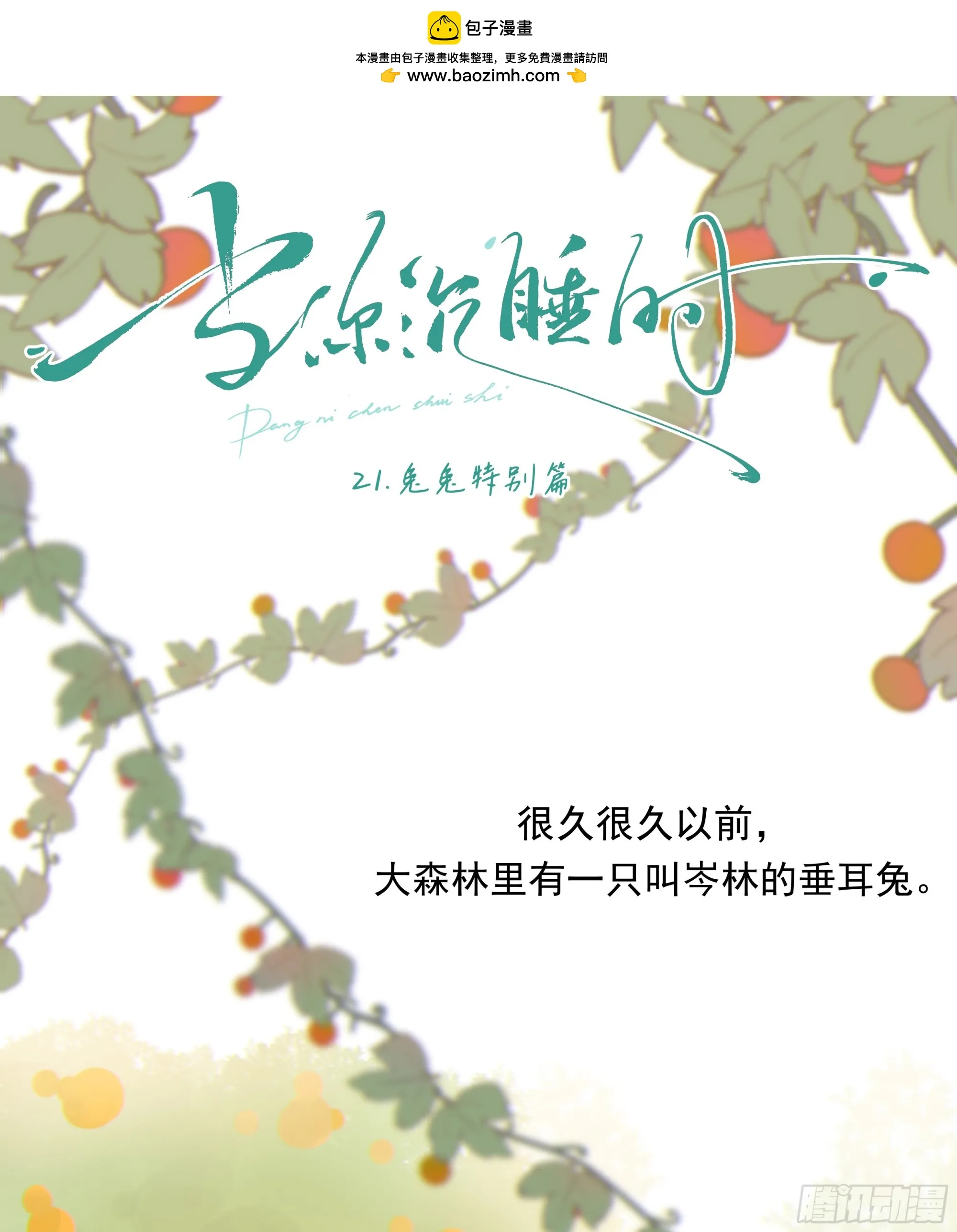 21.特别篇：兔兔游园会0