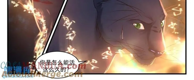 武炼巅峰漫画,大决战篇-混沌分阴阳4图