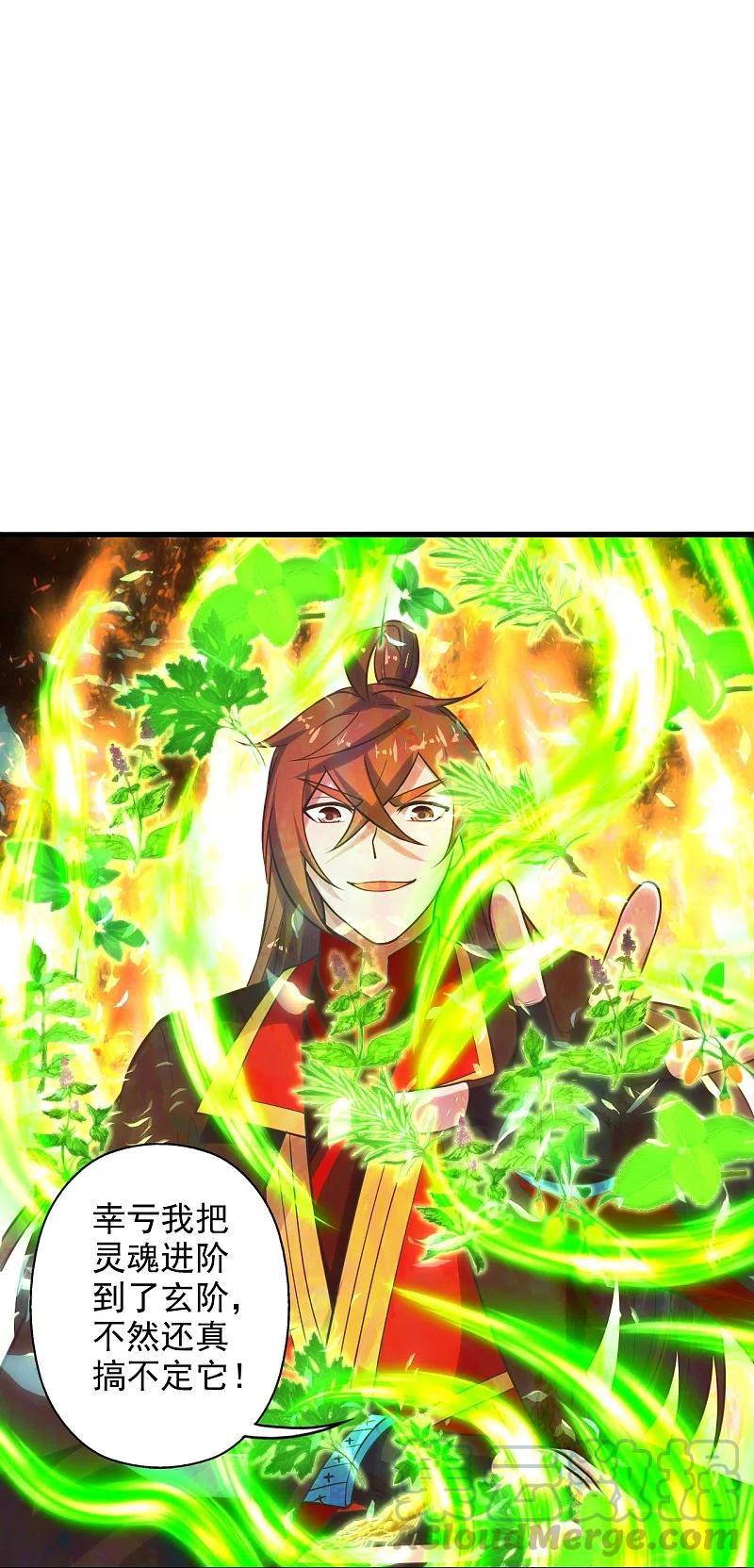 第209话 初炼三纹灵丹！3