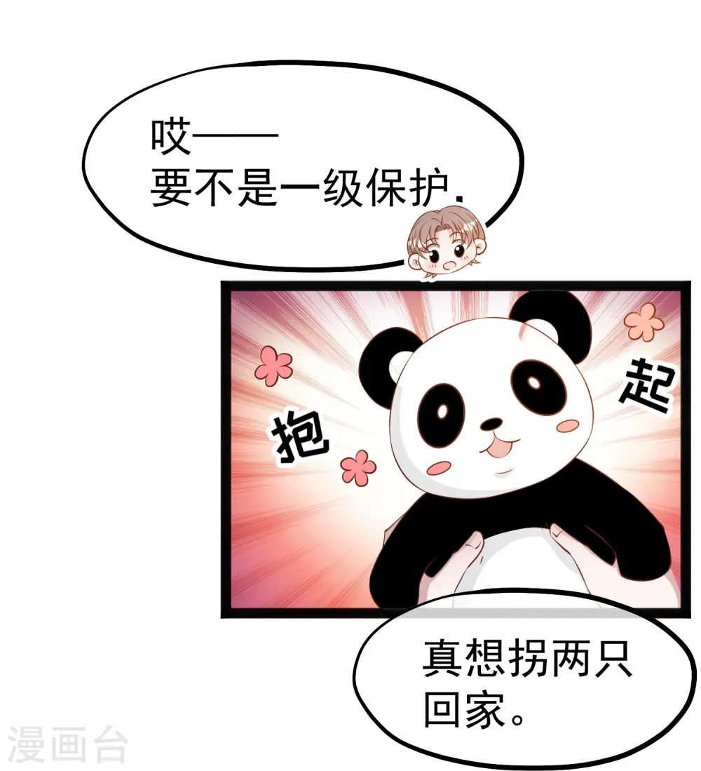 第289话 免费熊猫抱不得！2