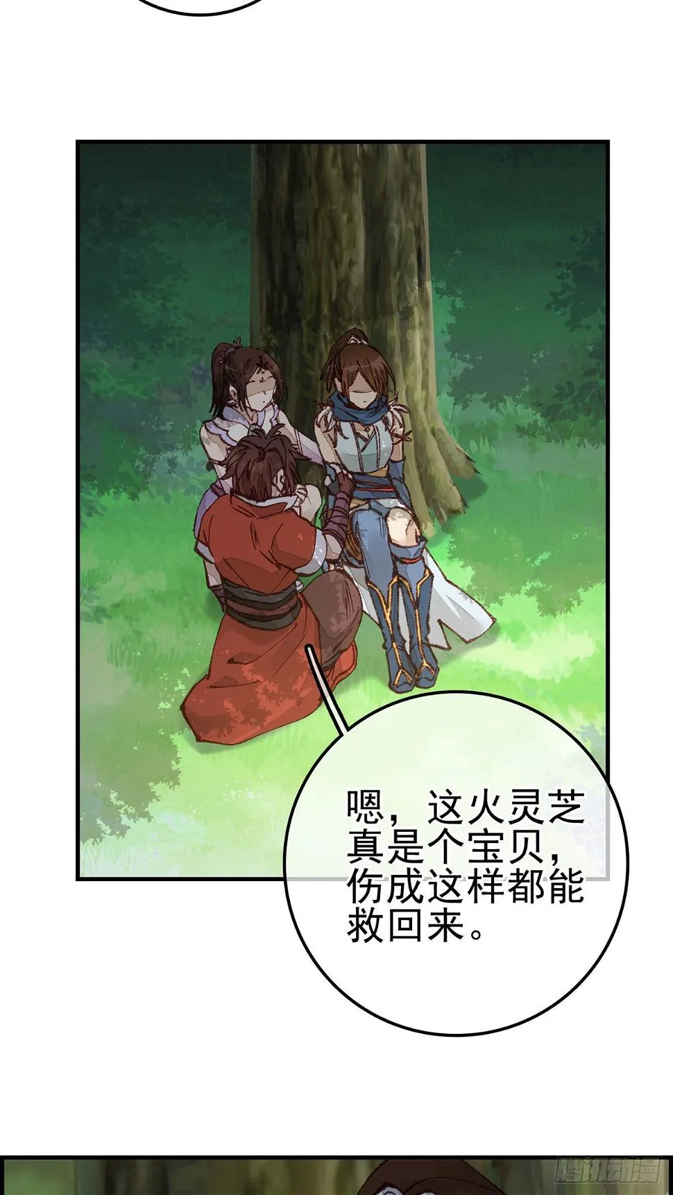 火灵芝3