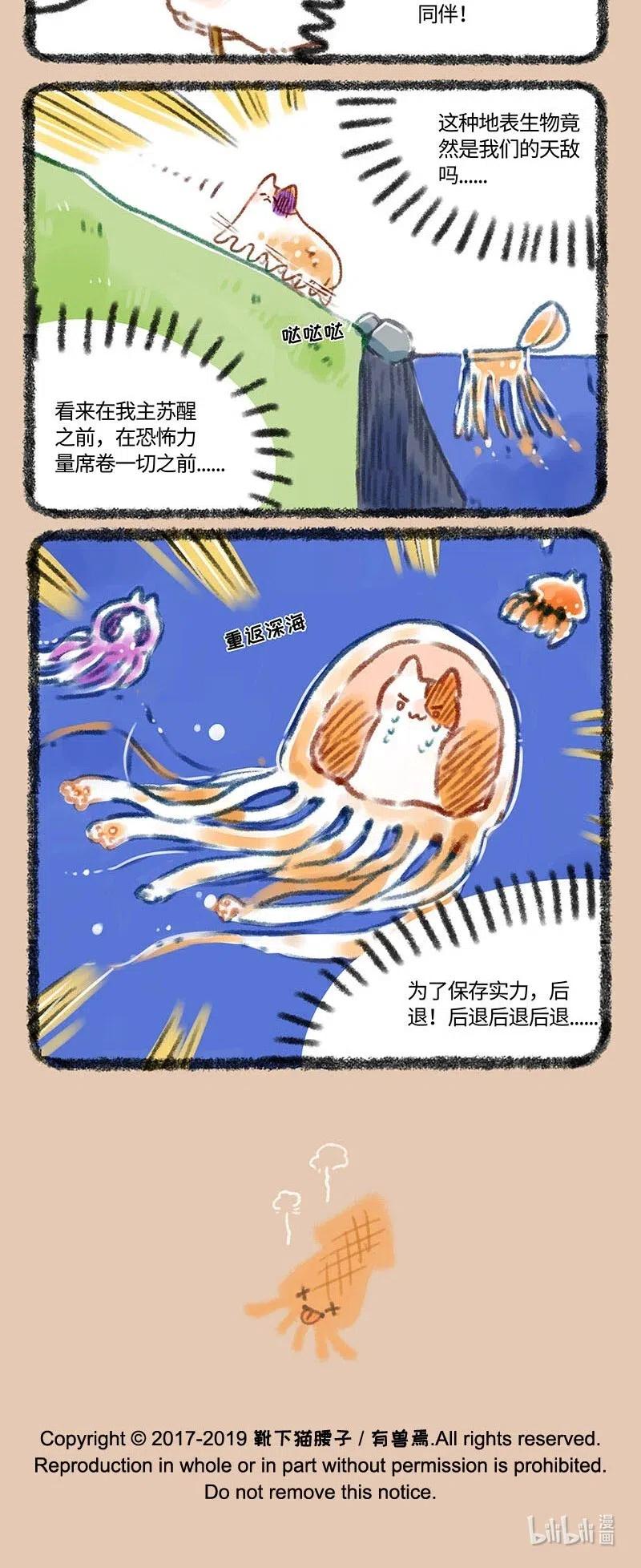 234 水母猫登陆计划3