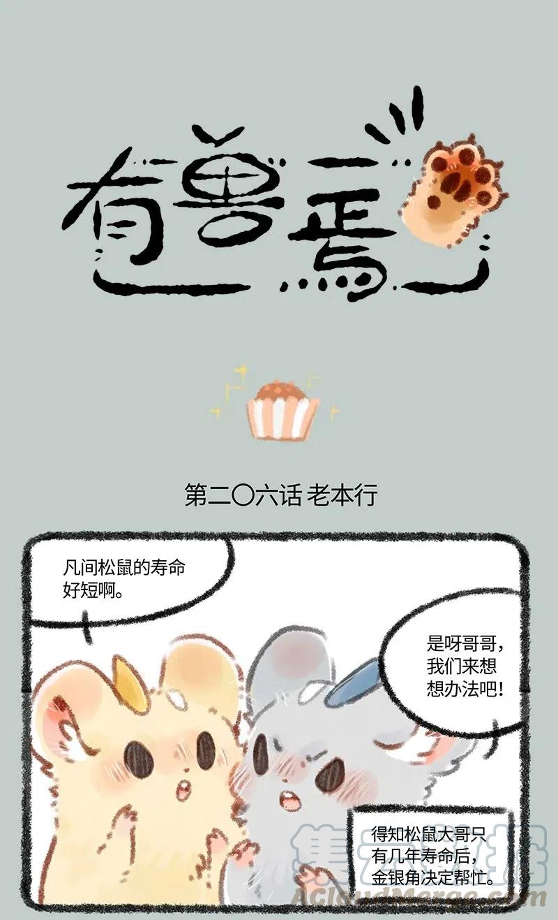 206 金银角的老本行0