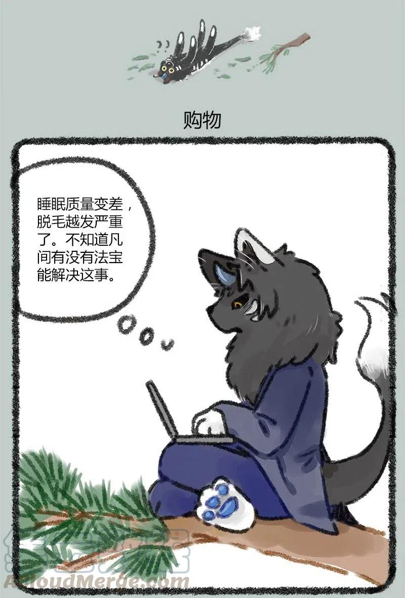 019 大地说话有自己的风格4