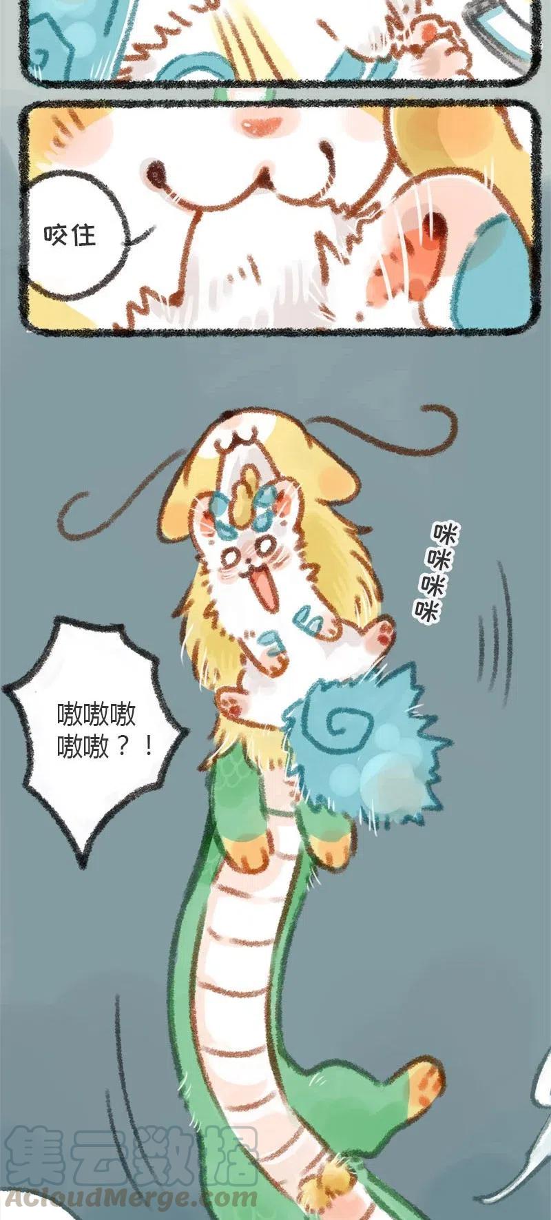 012 龙猫和猫龙2