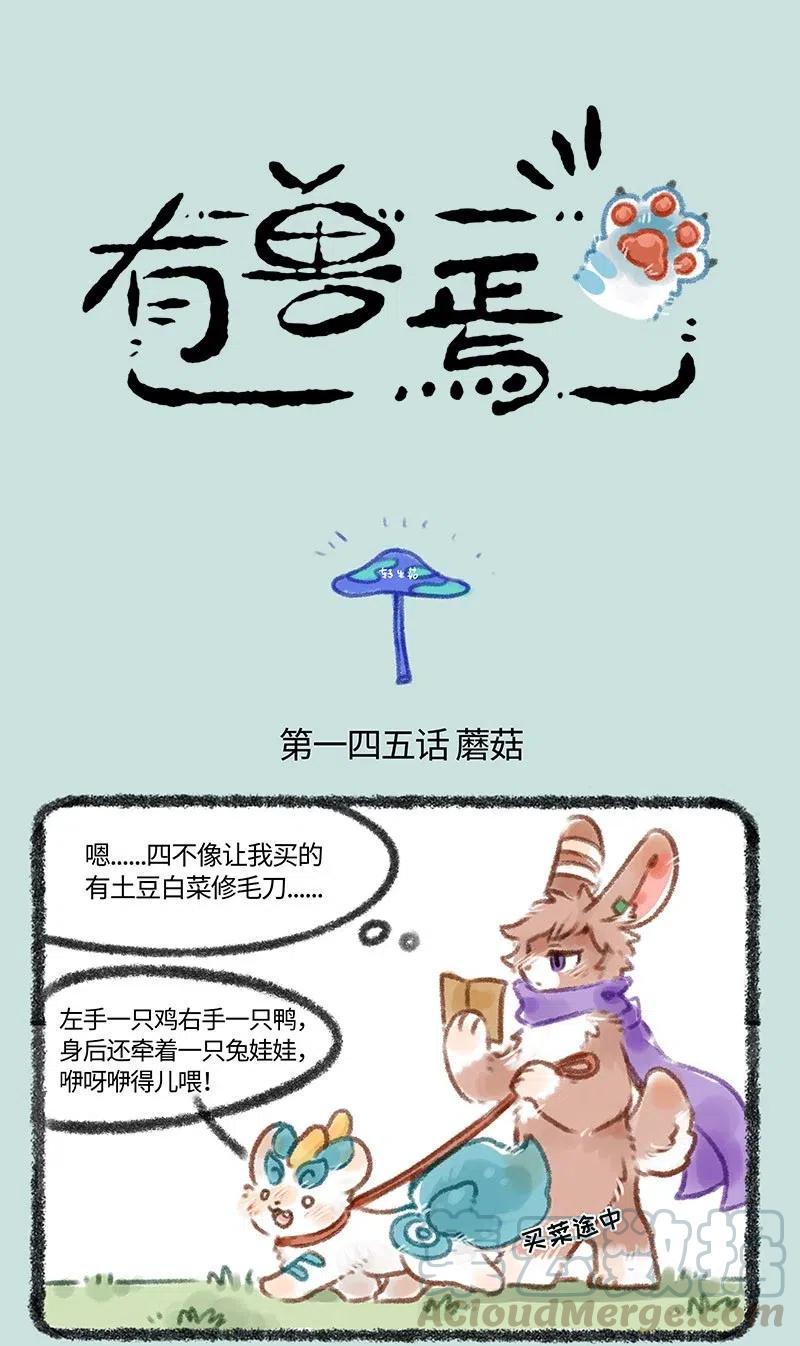 145 路边的蘑菇不要采0