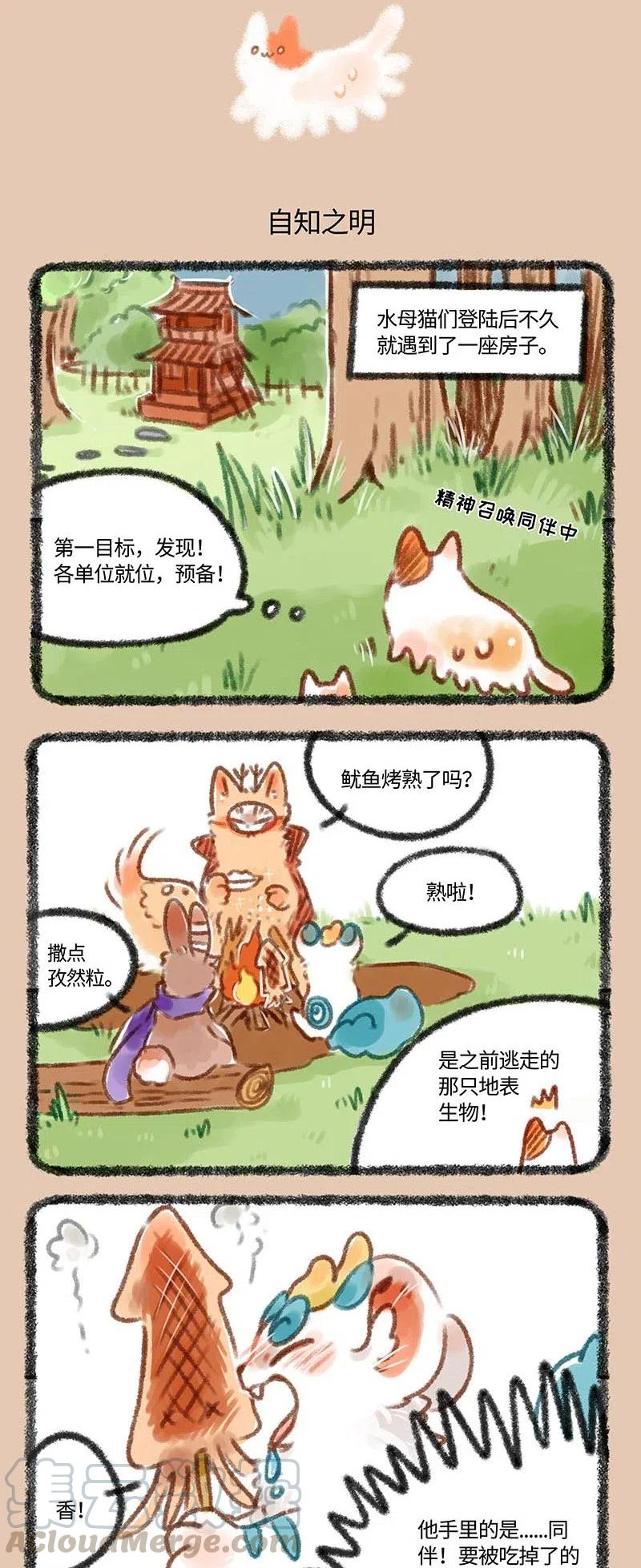 234 水母猫登陆计划2