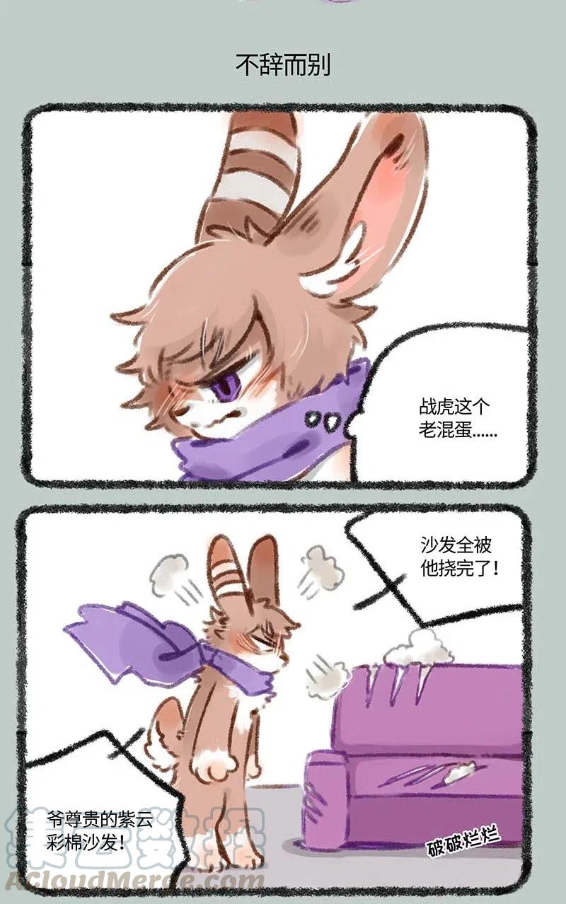 219 一只虎的好天气4