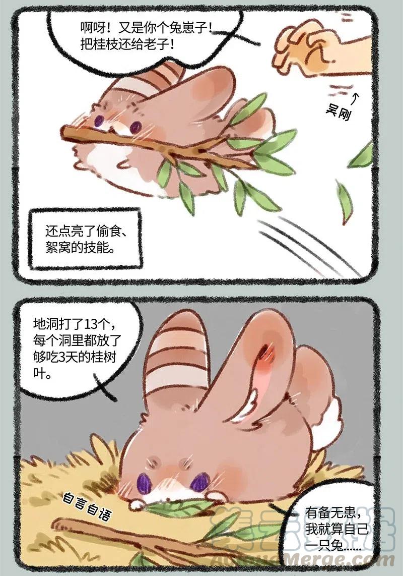226 兔爷的成长史4