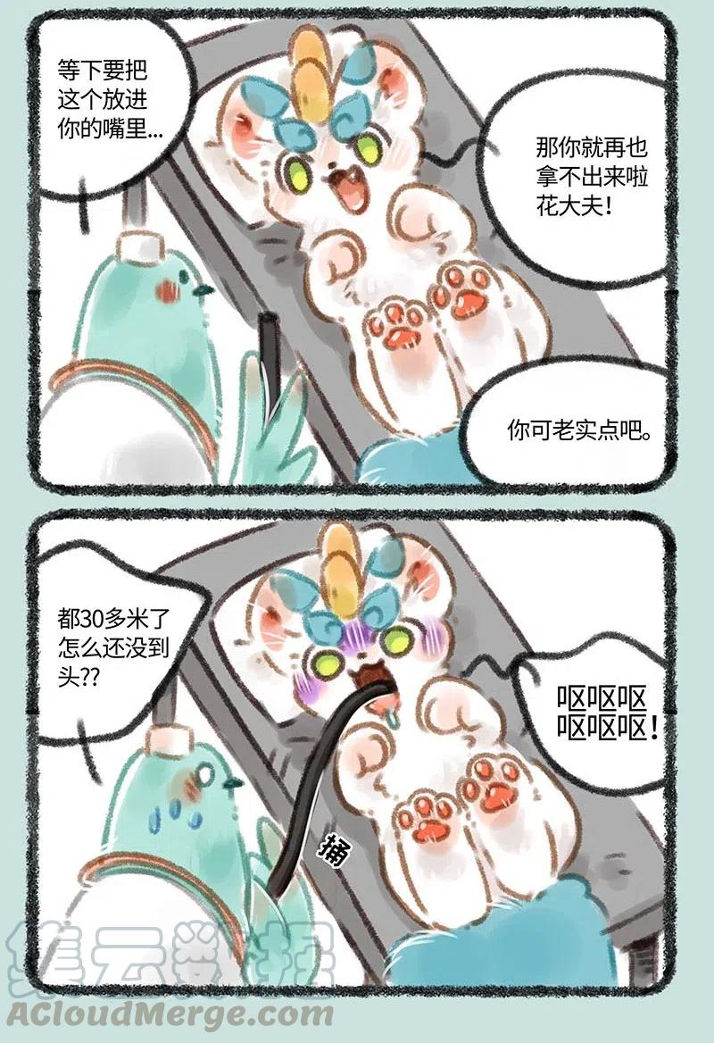 099 皮皮病了？2