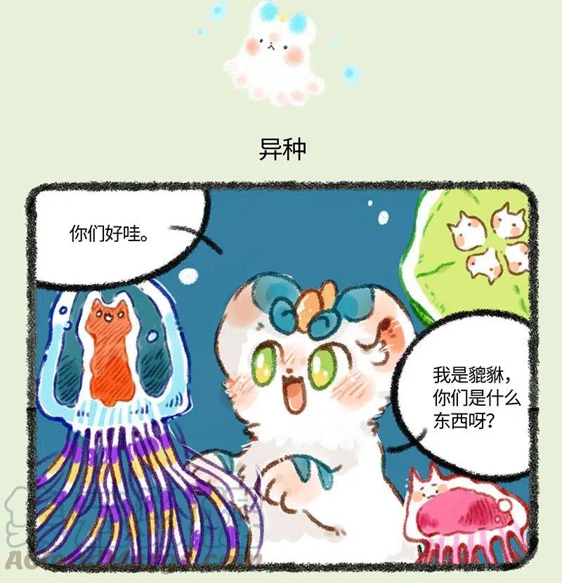 229 皮皮虾历险记4