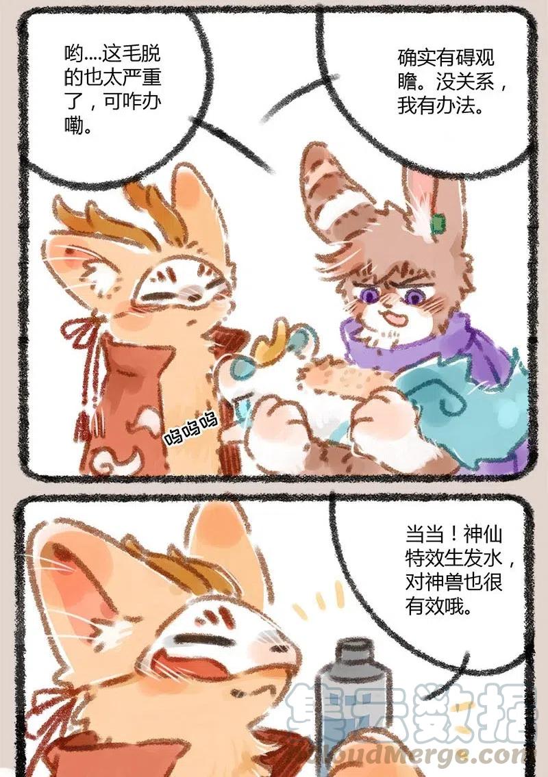 016 发型很重要2