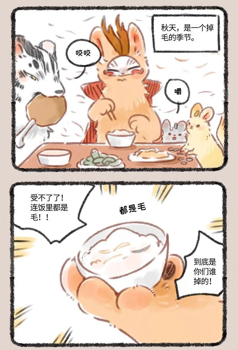 102 废毛利用1