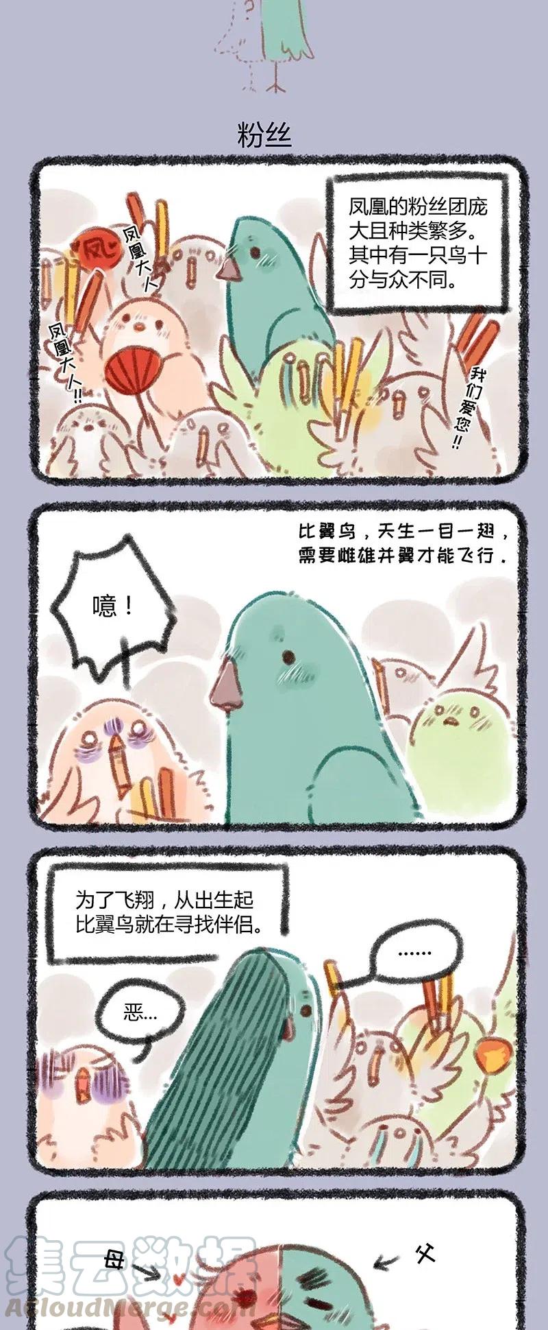 048 比翼鸟的爱豆2