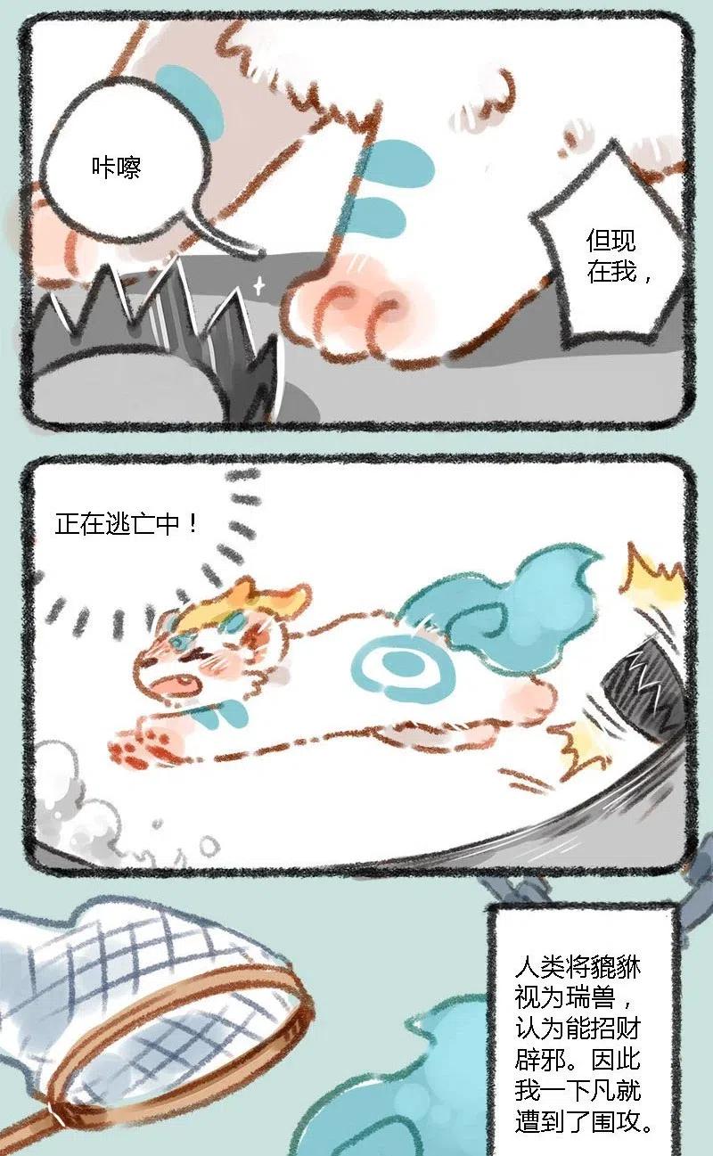 001 人间有神兽，来自九重天。1