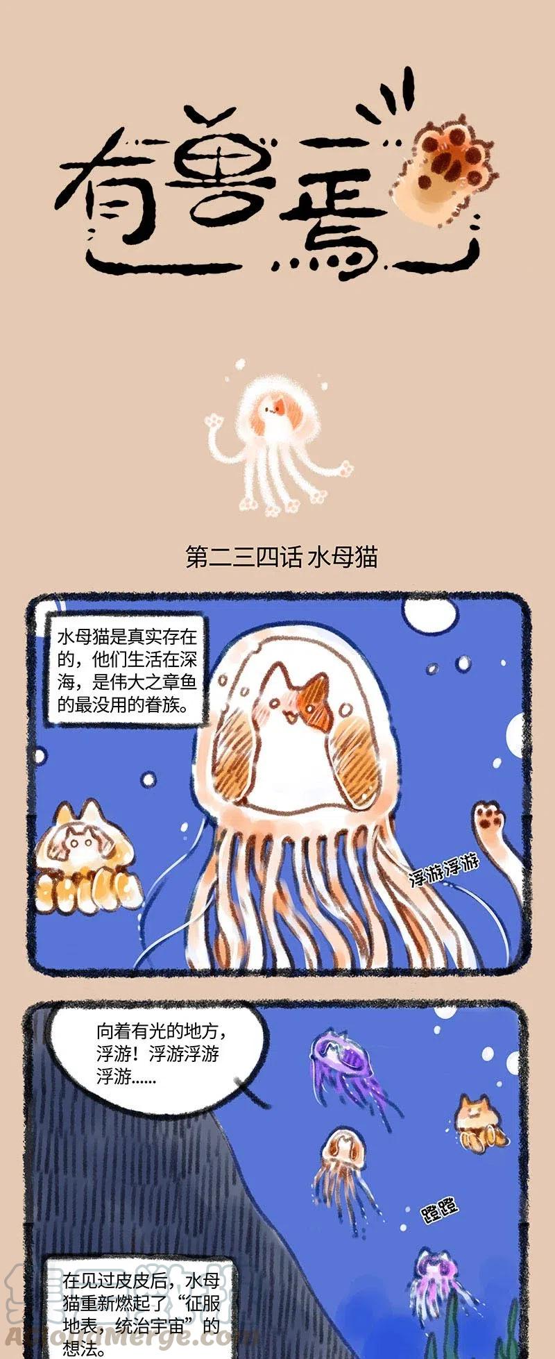 234 水母猫登陆计划0
