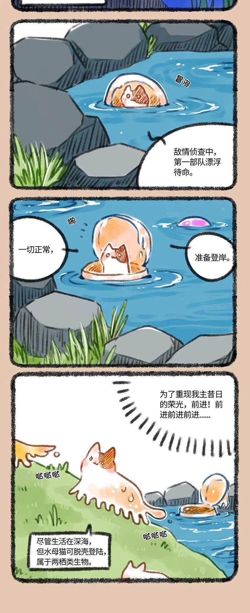 234 水母猫登陆计划1