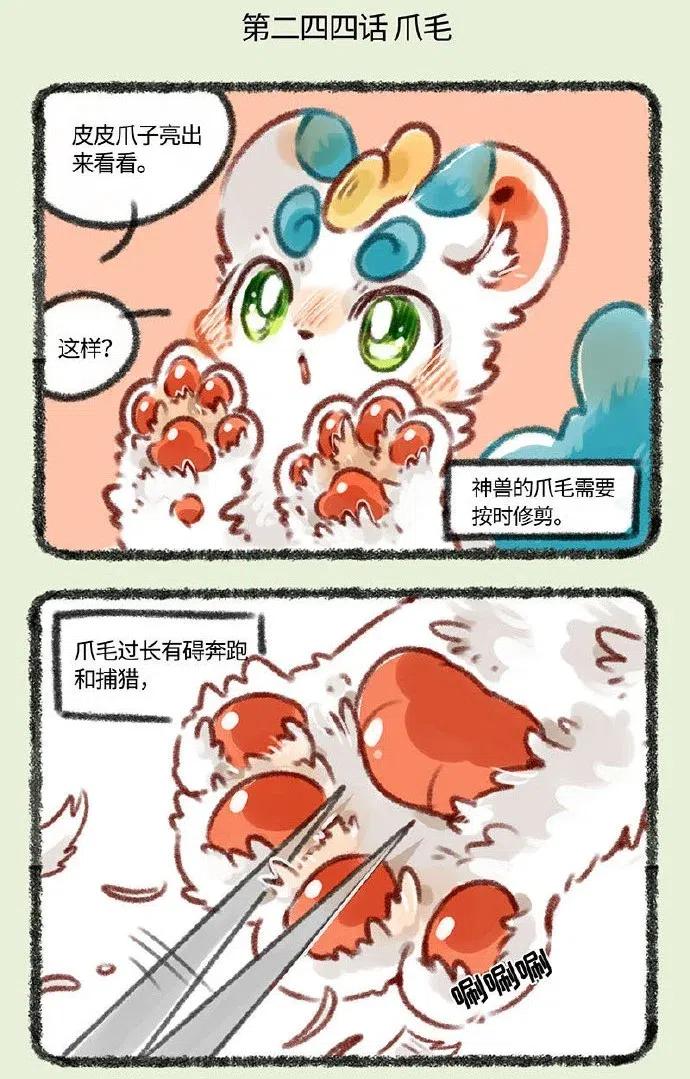 244 剪爪毛1