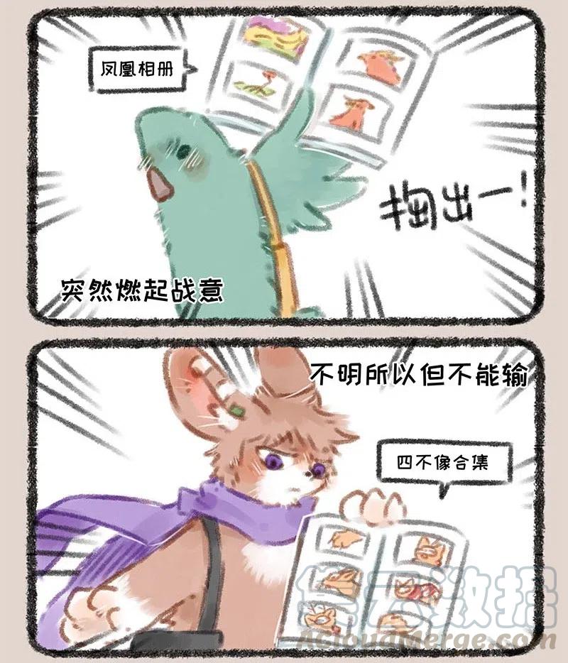 052 迷弟的比拼4