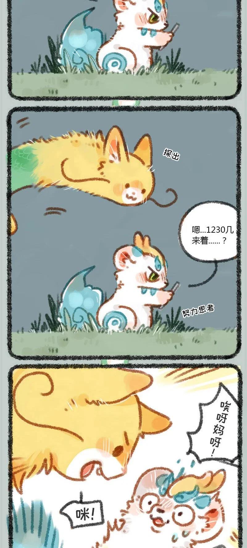 012 龙猫和猫龙1