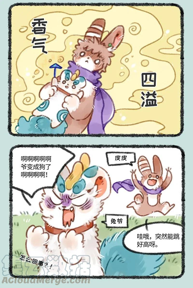 145 路边的蘑菇不要采2