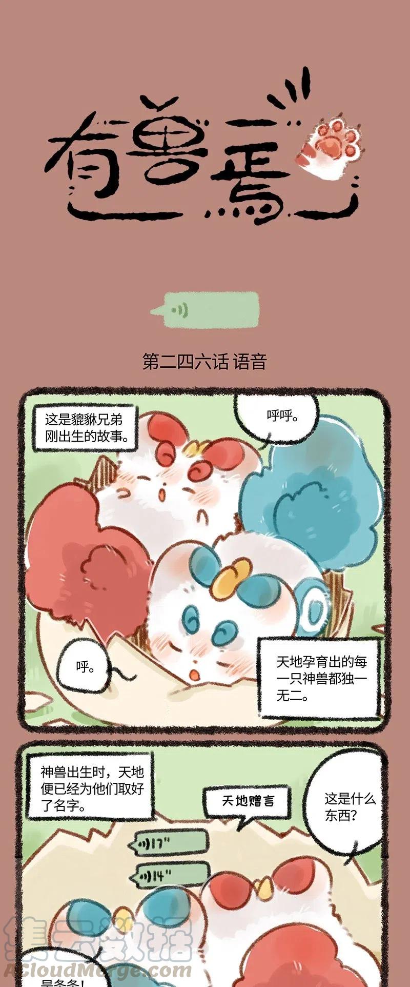246 貔貅的名字0