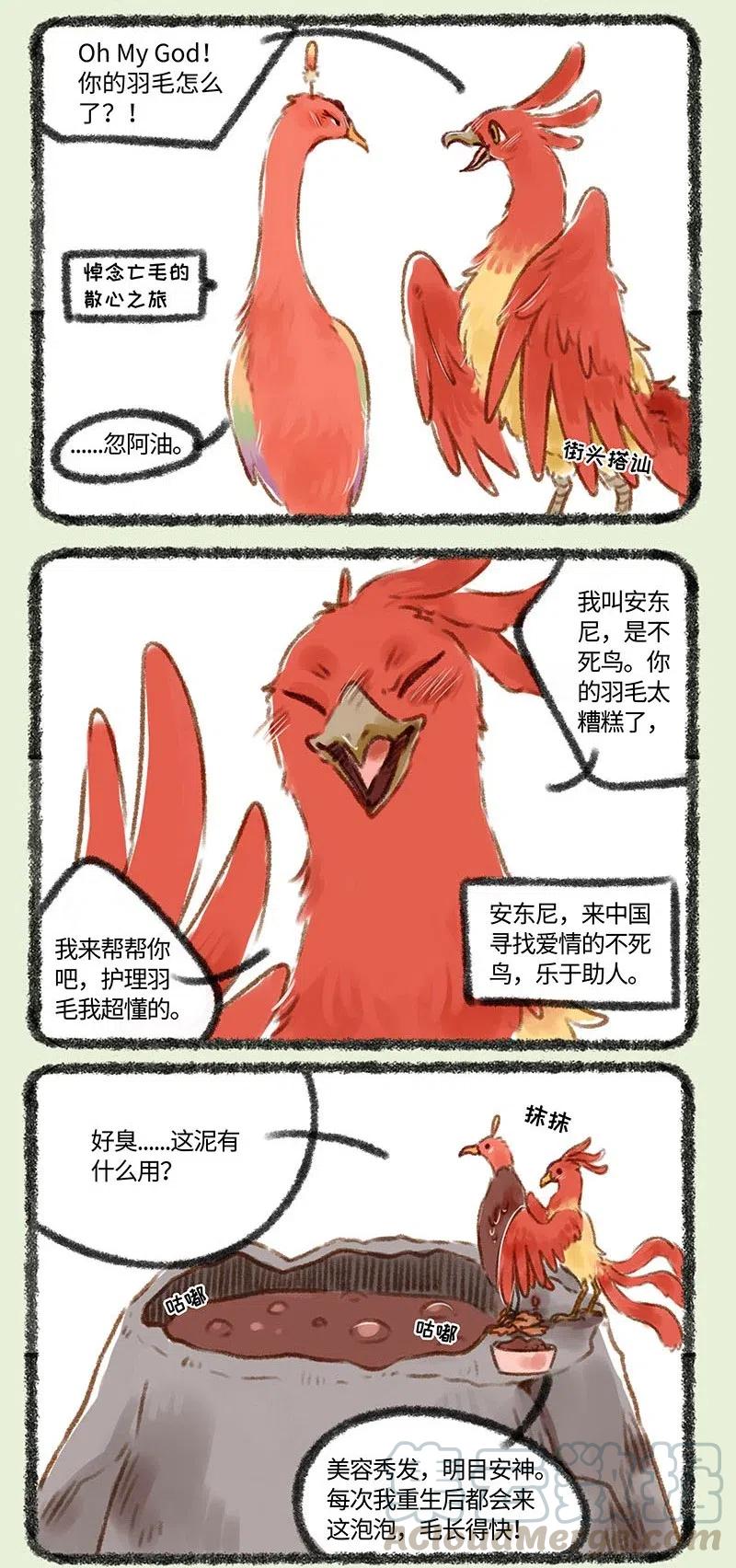 137 凤皇归来4