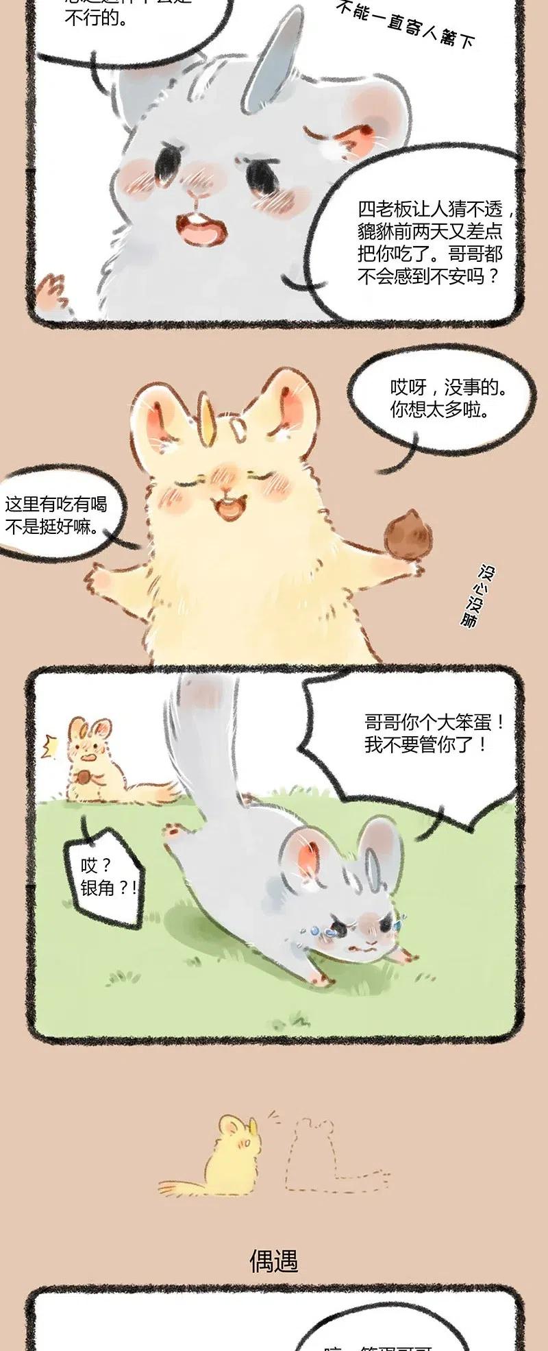 054 独自出门远行1