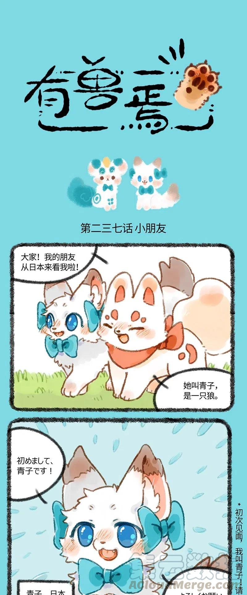 237 新来的青子0