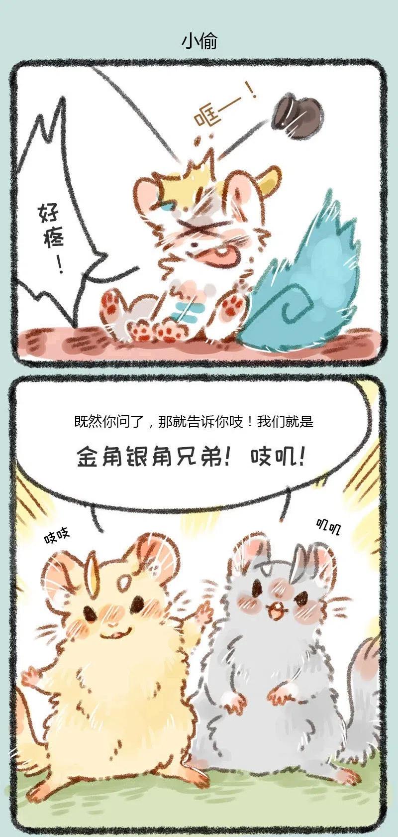 004 皮皮的工作3