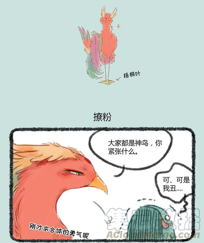 050 比翼鸟永远追随凤凰大人4