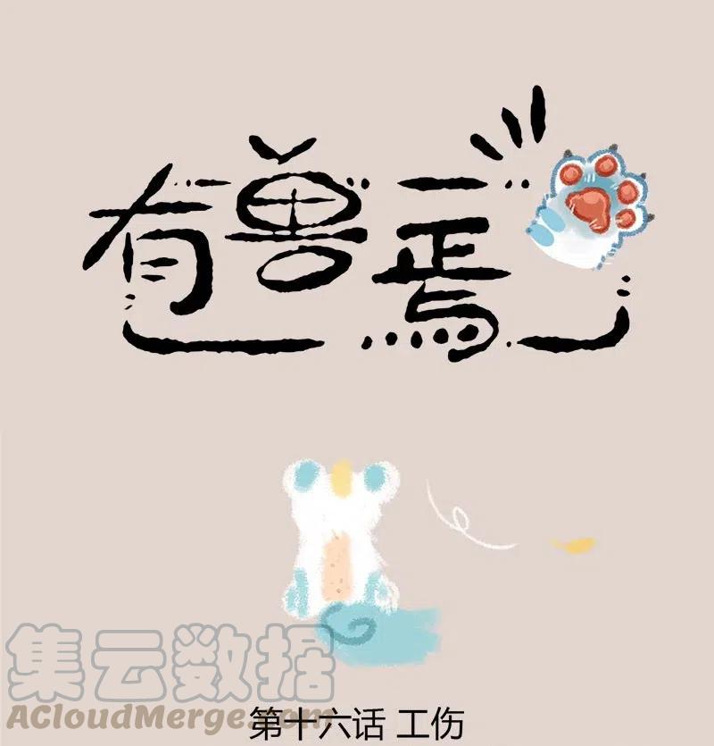 016 发型很重要0