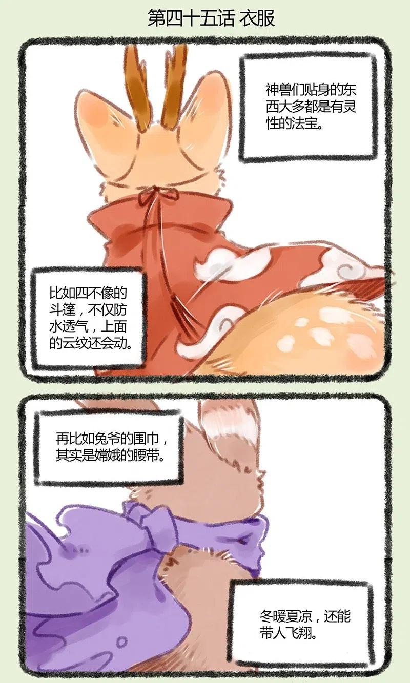 045 谁不喜欢漂亮衣裳1