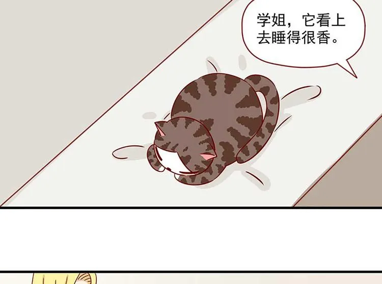 第23话：错误的相遇1