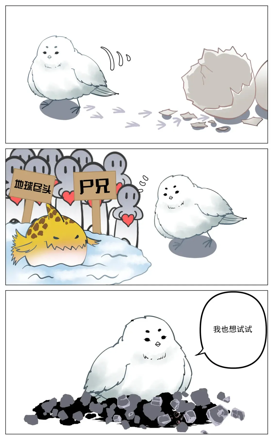 新作介绍1