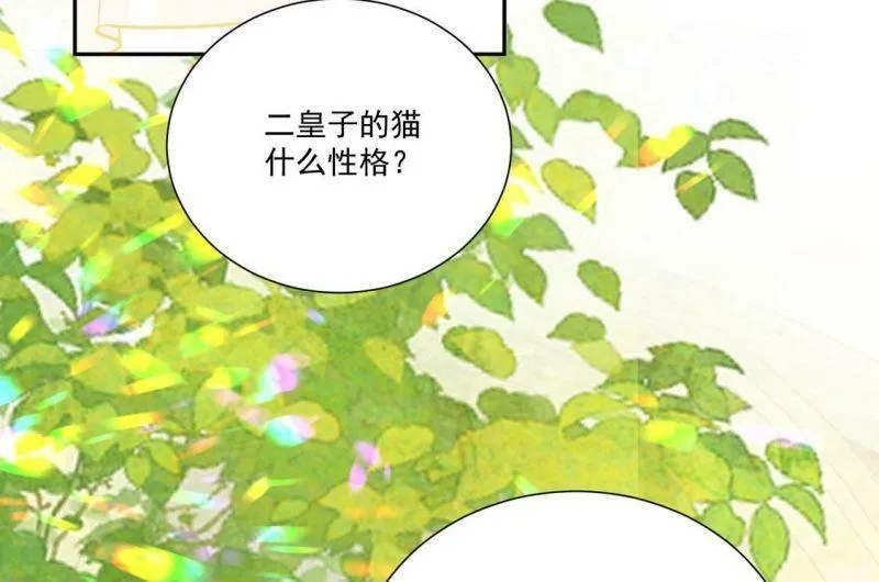 第10话 逗猫棒4
