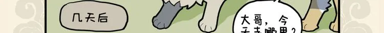 九子不成龙适合初中生看吗漫画,我有所念鱼 无夕不思量3图