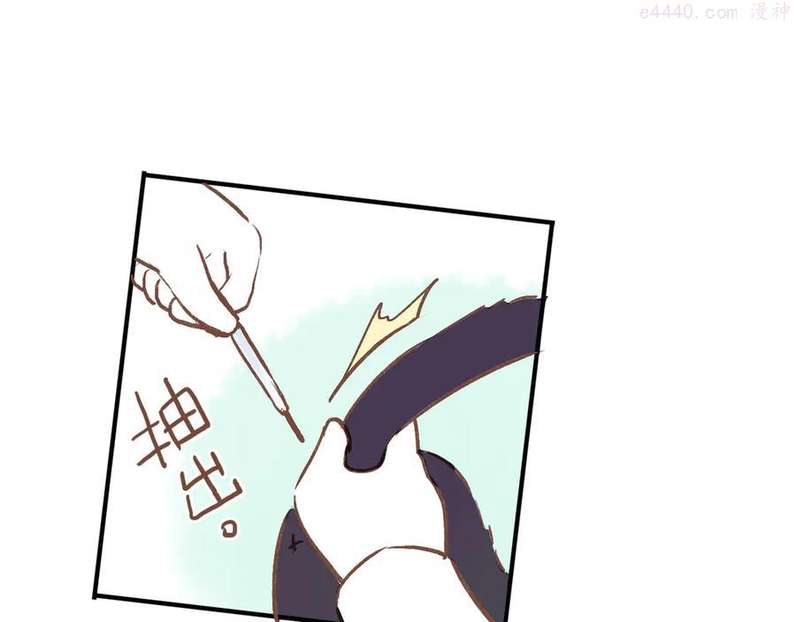 番外 请当我的猫！2